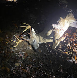 Meet your Posher, Conner